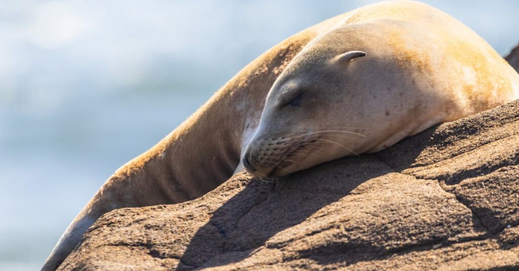 ChatGPTを使って安全に稼ぐために気をつけるべきリスクと注意点をまとめた図解イメージ