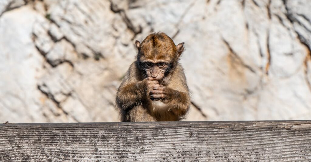 主婦がAIを活用して副業を始める姿を前向きに描いた応援イメージ