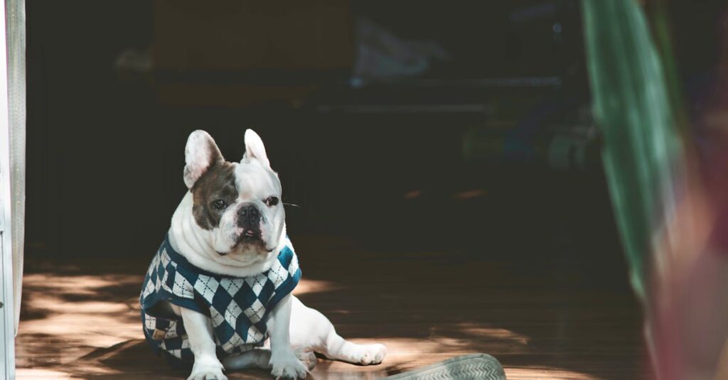 ChatGPTコンテンツ販売における失敗を防ぐための注意点を図解したイメージ